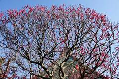 100206�����������Х�