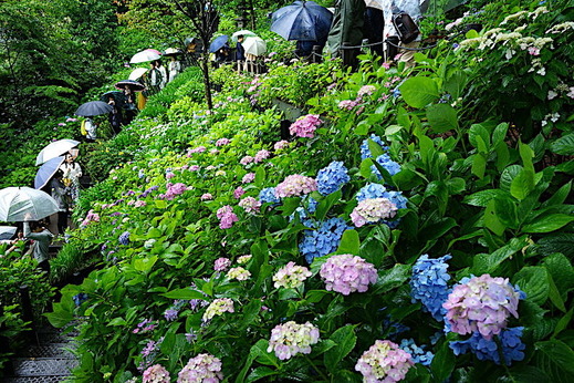 190615Ĺë����������1