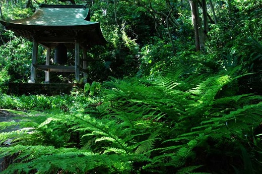 130509̯ˡ������