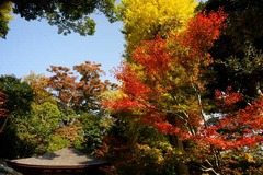 101127Ĺë������2