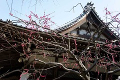 110313�¹���������