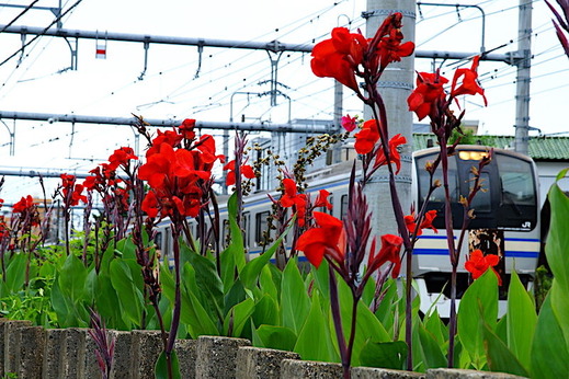 170723���ܲ���2