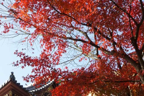 101215Ĺë������2