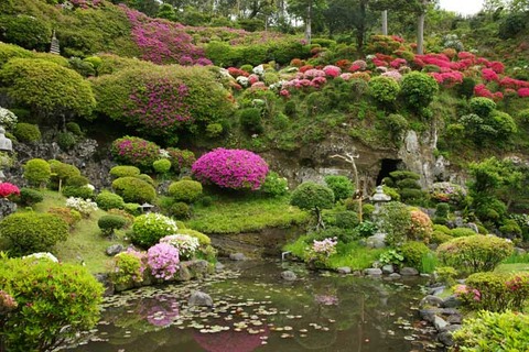 110503ʩ�Ի��ĥĥ�