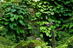 120524��Ļ����勵�Х�