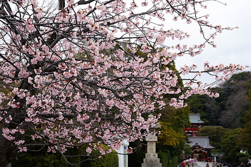 170315�ᲬȬȨ�ܥ�����1