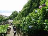 050612À®½¢±¡¥¢¥¸¥µ¥¤