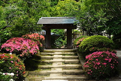 190603¾ôÃÒ»û¥µ¥Ä¥2