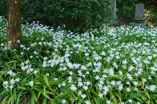 130418̯�ܻ����㥬2