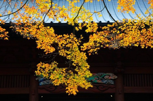 221217̯�ܻ�����1