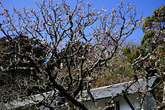 190312Åì·Ä»û¥¦¥á2
