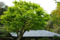 120420���һ�����