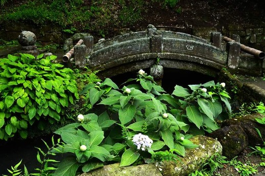 140831���һ����ޥ�������2