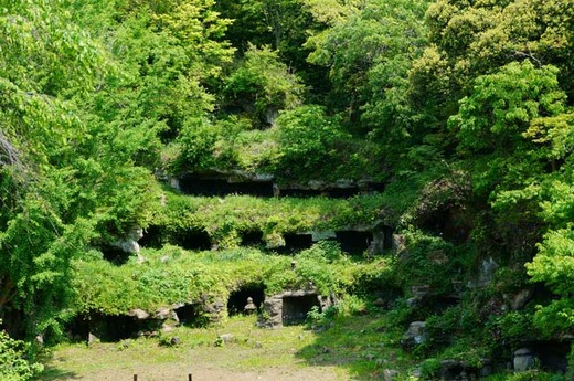 130429�ޤ����Ʋ�䤰��2