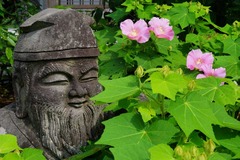 130728̯δ���ե襦1