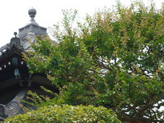 080802�ܳл����륹�٥�