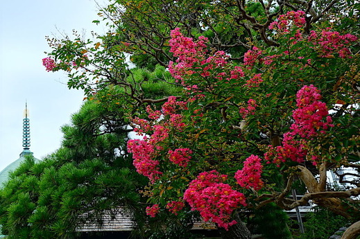 180726�ܳл����륹�٥�