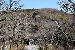 200305Åì·Ä»û¥¦¥á