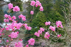 150315�߳л��ˤ�