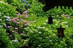 120615Ĺë����������4