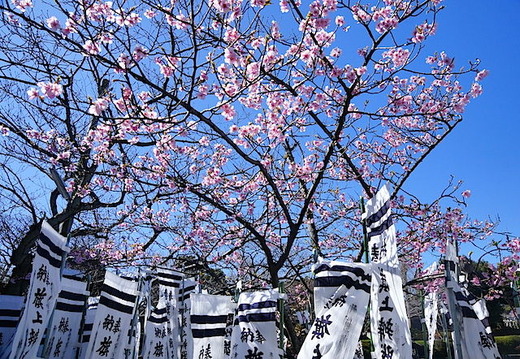 150311ȬȨ�ܥ���ť�����