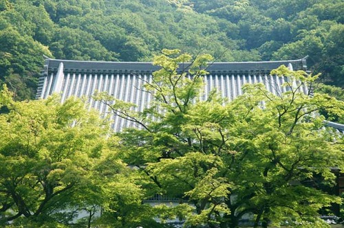 110521�߳л�����2