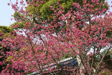 090318Ĺë������ҥ�����