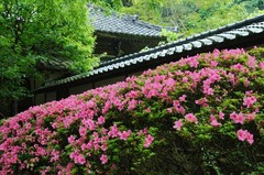 120612¾ôÃÒ»û¥µ¥Ä¥