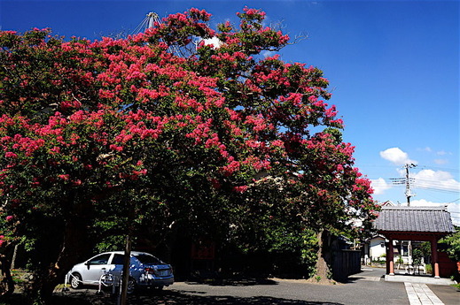 160807�ܶ������륹�٥�