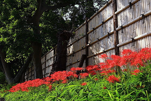 201002�ᲬȬȨ�ܥҥ���Х�2