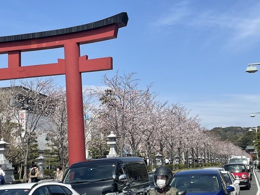 220328�ʳ륵����2