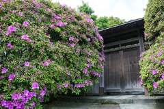 130425���ܱ��ĥĥ�5