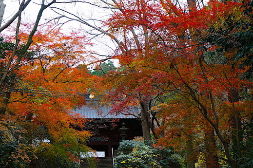 161225̯�ܻ�����1