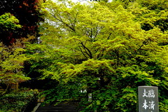 160411�߳л�����1