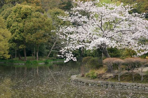 110410ȬȨ�ܥ�����2