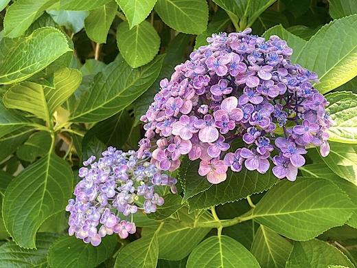 230617�繪��������������