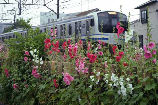 110608���ܲ��������������