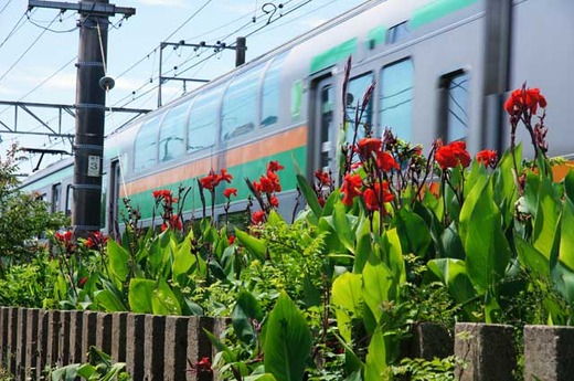 110806���ܲ���������