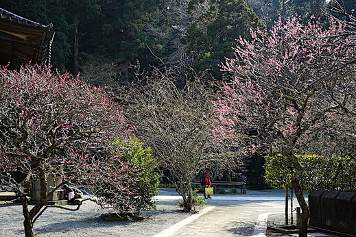 190305̯�ܻ�����2