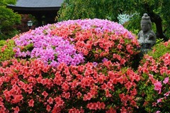 120601��¢�����ĥ�1