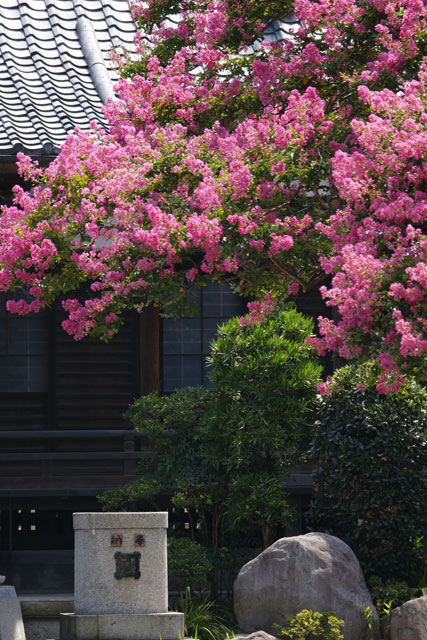 080820�ܶ������륹�٥�