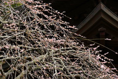 170301����������2