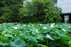 110720��ʿ�ӥϥ�2