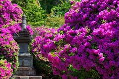 120511���ܱ��ĥĥ�2