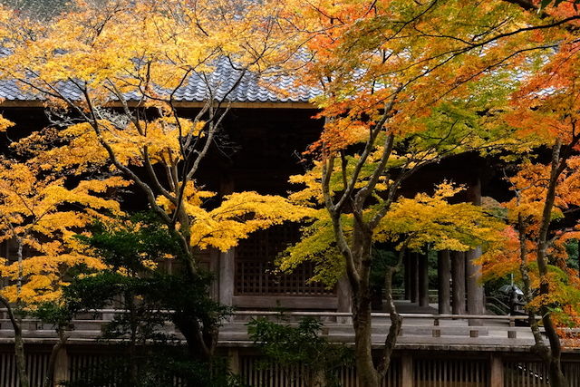 本妙寺 (長岡市)