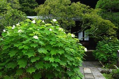 140829�������ե襦2