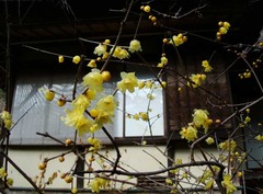 120212���һ������Х�2