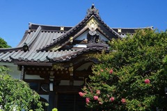 140803̯δ�����륹�٥�