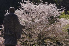 110413̯�ܻ�������