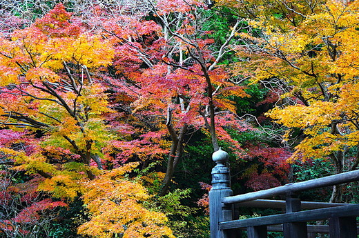 221217̯�ܻ�����3